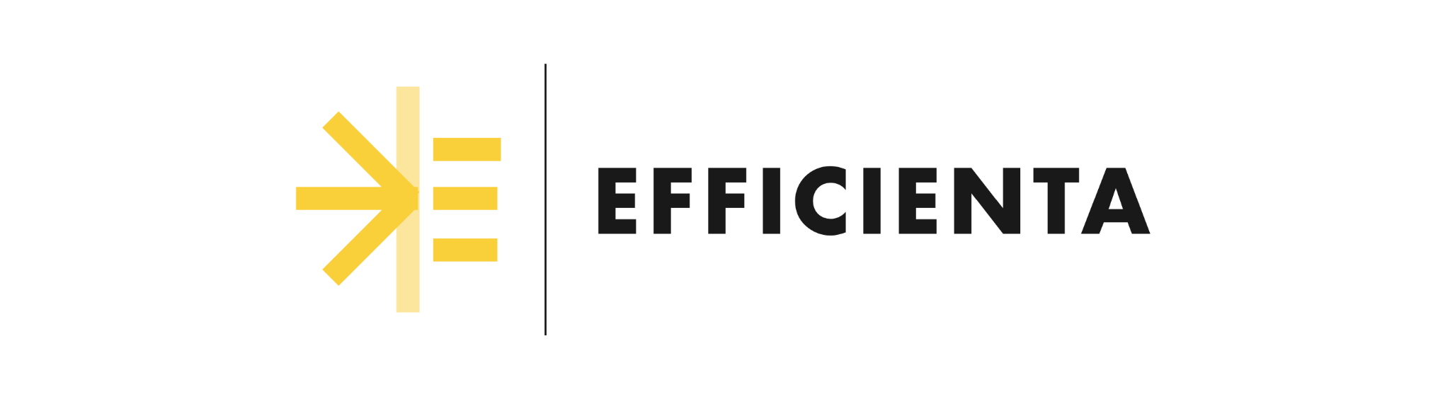 Efficienta